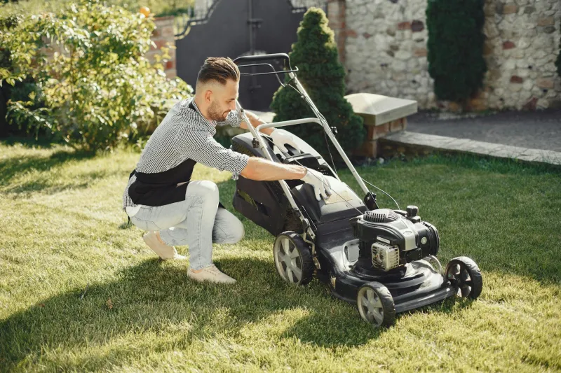 The Private Backyard Is Peak American Weirdness—and Most of the World Knows It